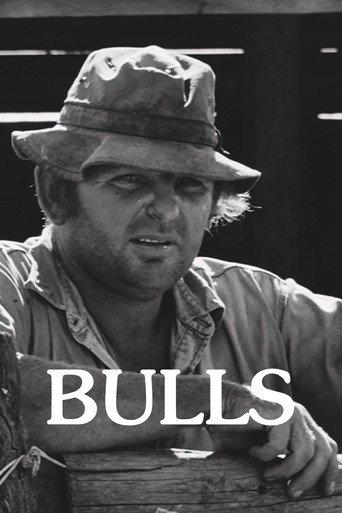 Bulls (2008) poster