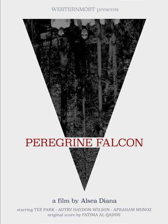 Peregrine Falcon (2026) poster