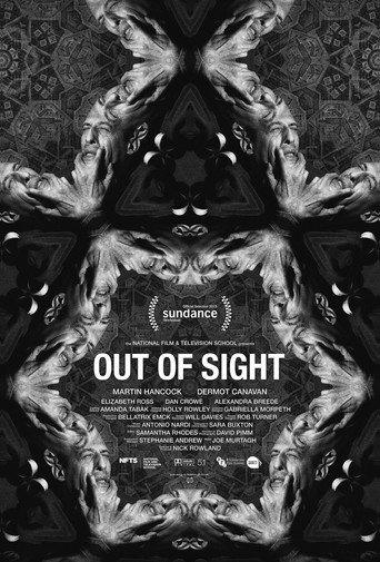 Out of Sight (2015) poster