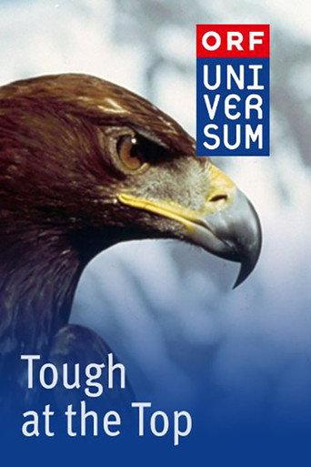 Tough at the Top (1998) poster