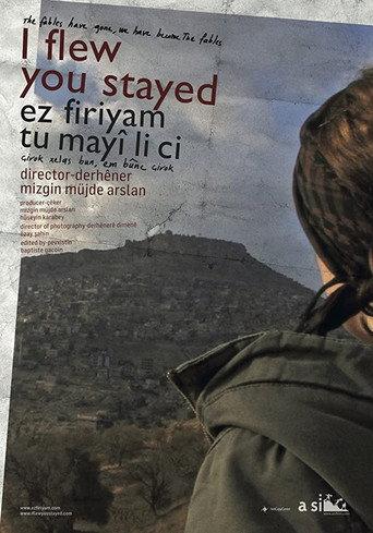 I flew you stayed (2012) poster