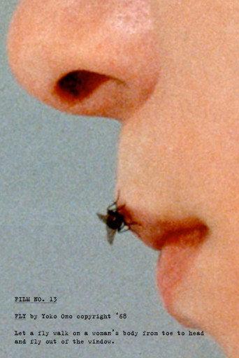 Fly (1970) poster