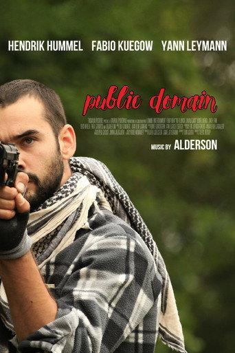 Public Domain (2020) poster