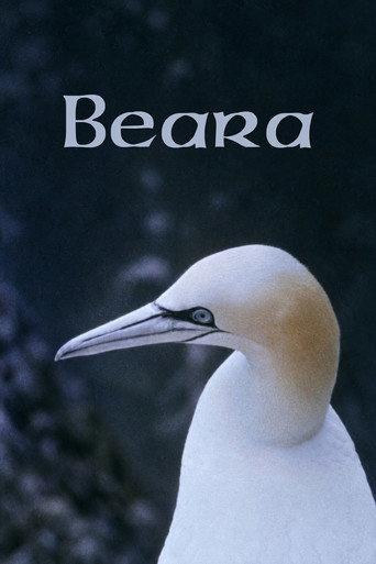 Beara (1979) poster