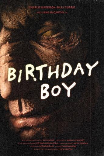 Birthday Boy () poster