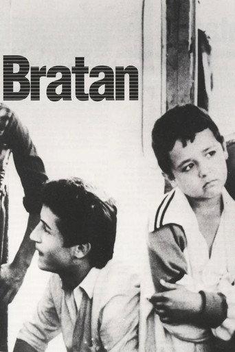 The Little Brother (1991) poster