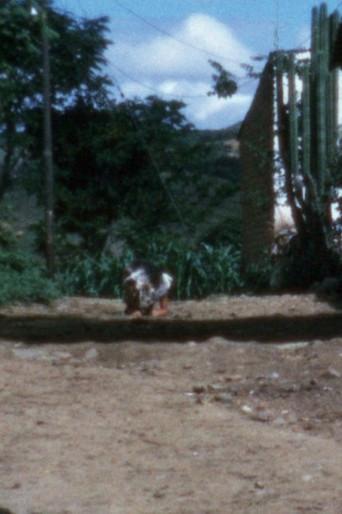 Dog (1974) poster