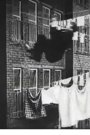 The Burglar's Slide for Life (1905) poster