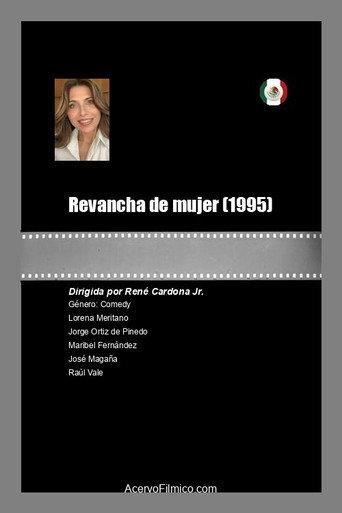 A Woman's Revenge (1995) poster