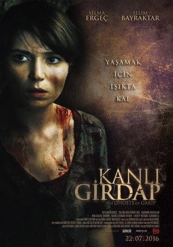 Vlad's Legacy (2016) poster