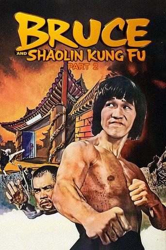 Bruce and Shaolin Kung Fu Part 2 (1978) poster