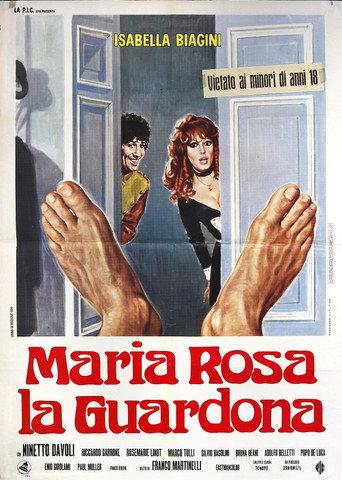 What the Chambermaid Saw (1973) poster