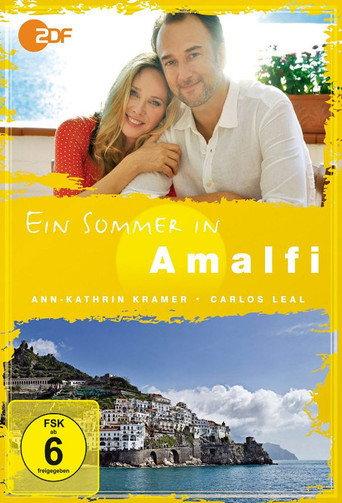 Ein Sommer in Amalfi (2013) poster