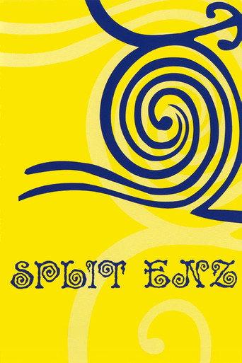 Split Enz (2002) poster