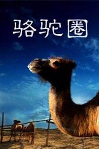 Camel Collar (2010) poster