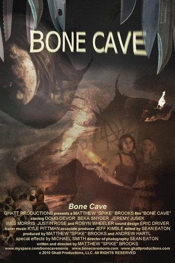 Bone Cave (2011) poster