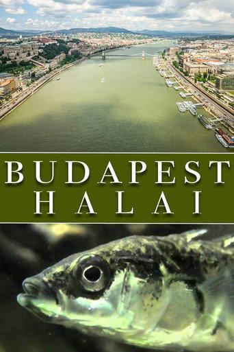 The Fish of Budapest () poster