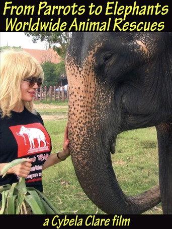 From Parrots to Elephants: Worldwide Animal Rescues () poster
