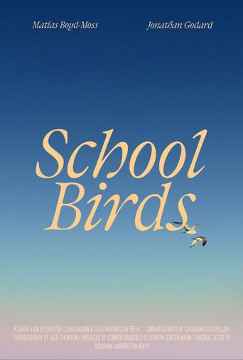 School Birds () poster
