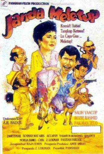 Janda Meletup (1990) poster