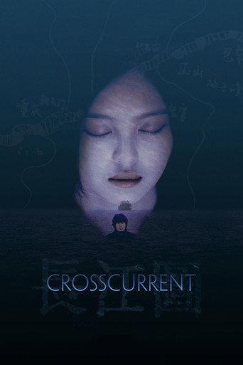 Crosscurrent (2016) poster