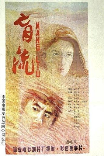 盲流 (1987) poster