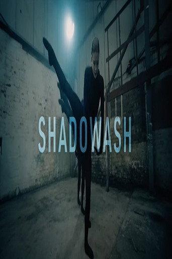 Shadowash () poster