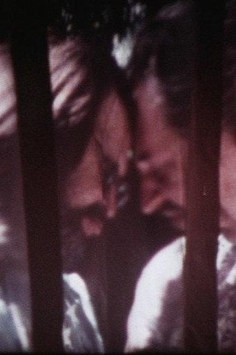 Toryanse (1982) poster