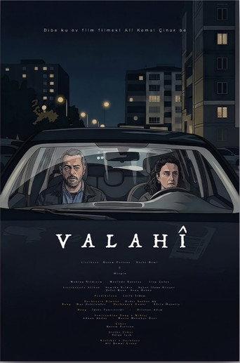 Void (2026) poster