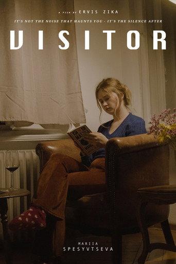 Visitor (2025) poster
