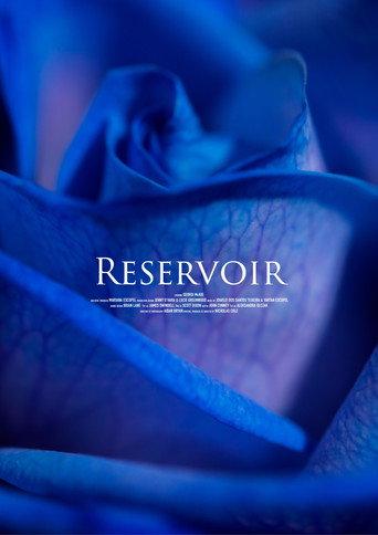 Reservoir () poster