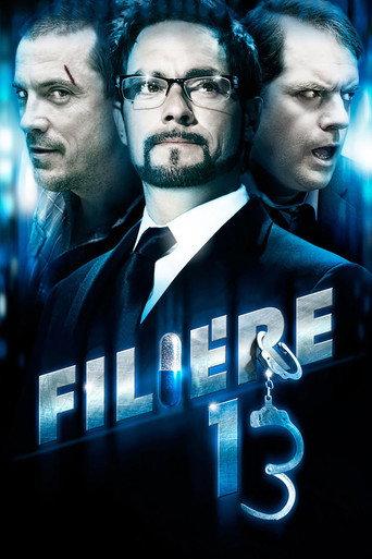 File 13 (2010) poster