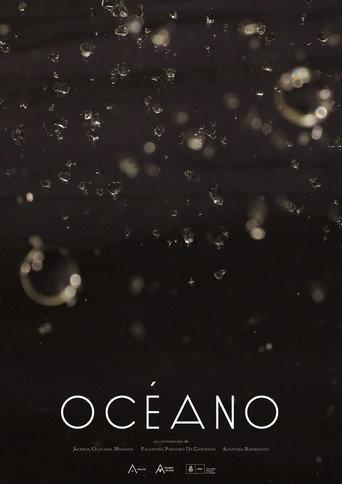 Ocean () poster