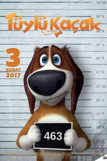Run Ozzy Run () poster