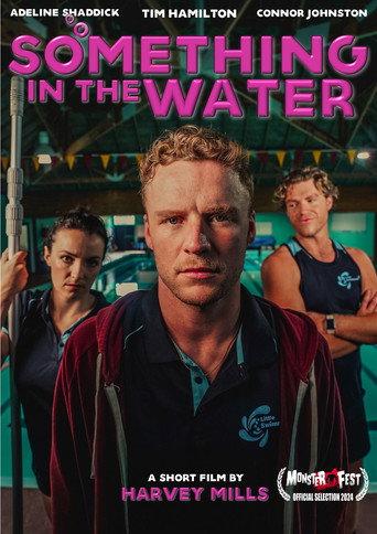 Something In The Water () poster