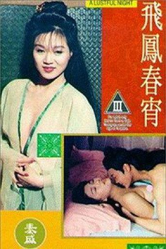 A Lustful Night (1993) poster