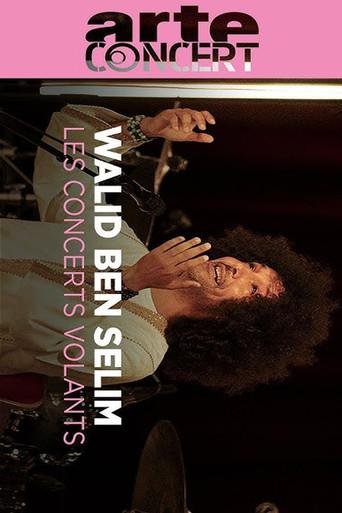 Walid Ben Selim @ Journeys Through Music (2024) poster
