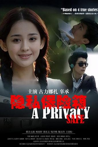 隐私保险箱 (2013) poster