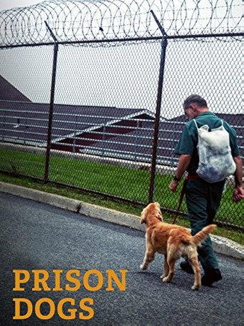 Prison Dogs (2016) poster