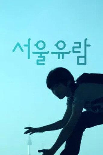 Lost in Transportation (2013) poster