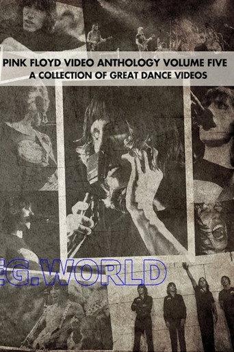 Pink Floyd:  Video Anthology Vol. 5 (2004) poster