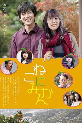 Tangerines on Cat (2014) poster