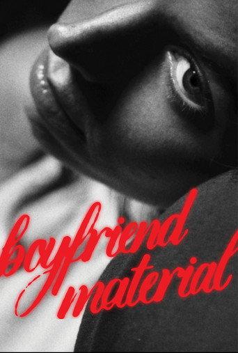 Boyfriend Material () poster