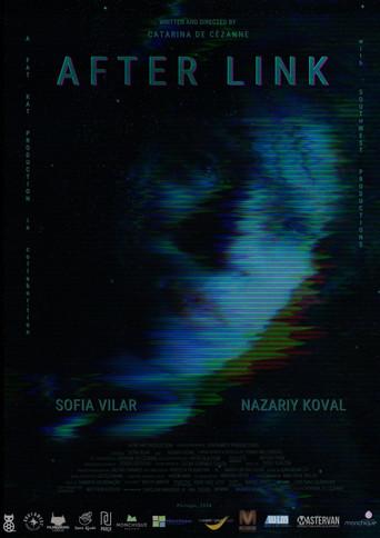 After Link (2024) poster