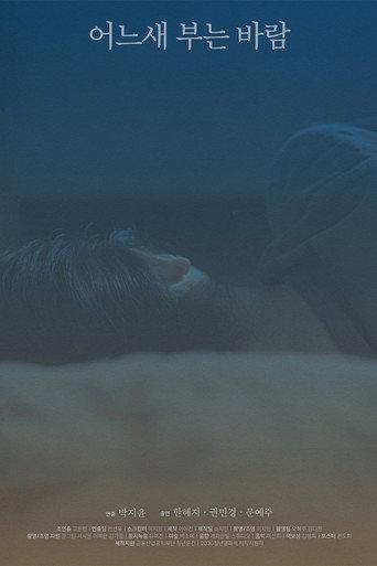 The Consolation of the Wind (2025) poster