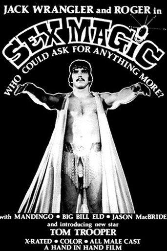 Sex Magic (1977) poster