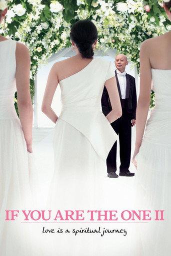 If You Are the One 2 (2010) poster