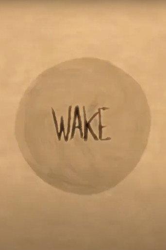 Wake () poster