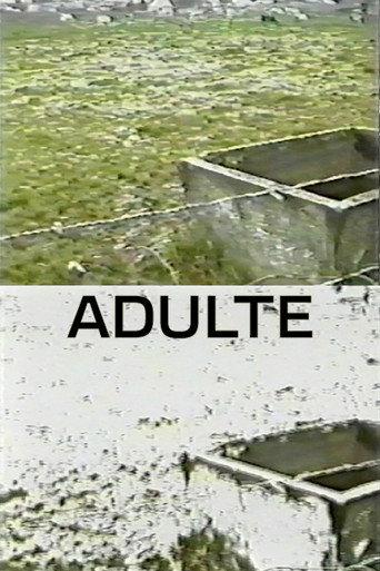 Adulte (1998) poster