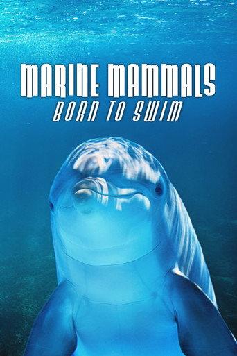 Marine Mammals - Born to Swim () poster